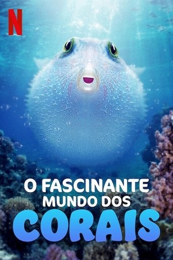 O Fascinante Mundo Dos Corais